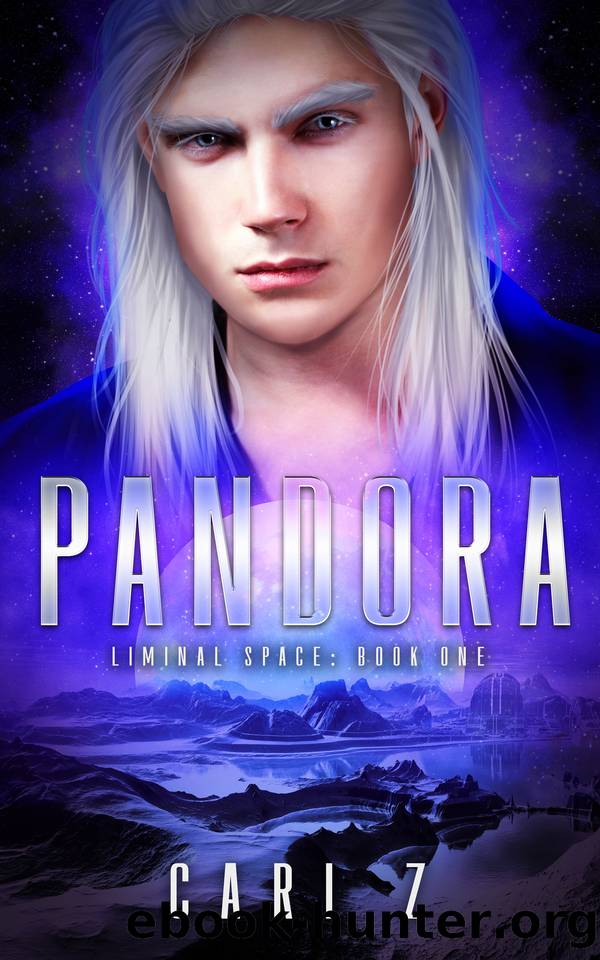 Pandora: Liminal Space: Book One by Cari Z