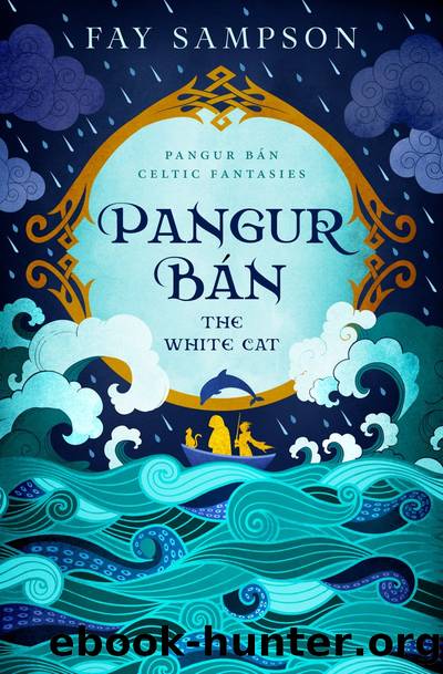 Pangur Ban, the White Cat by Fay Sampson