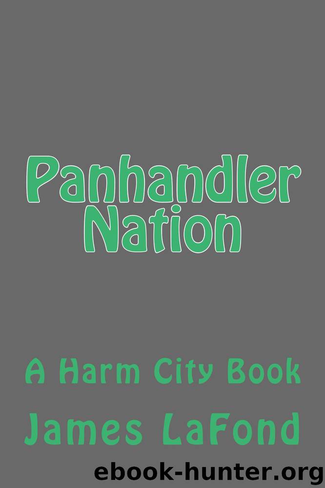 Panhandler Nation by James LaFond