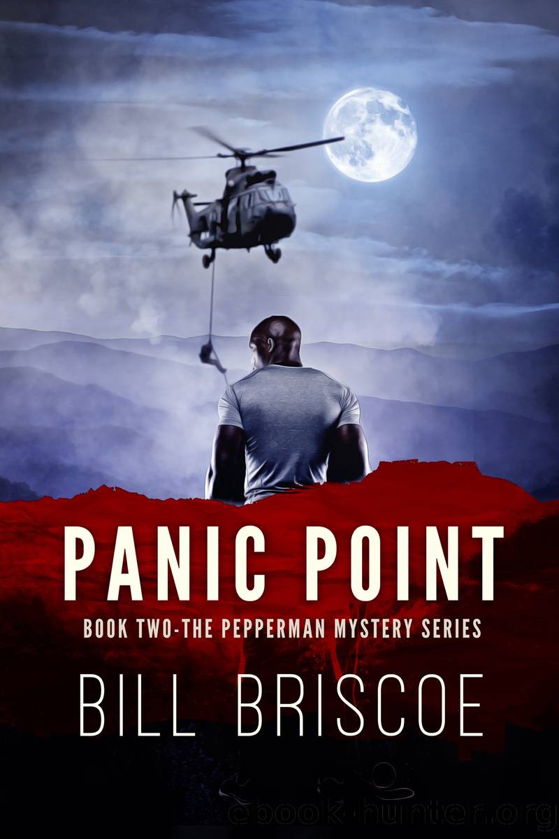 Panic Point by Bill Briscoe