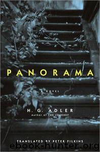 Panorama: A Novel by H. G. Adler; Peter Filkins; Peter Demetz