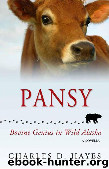 Pansy by Charles Hayes