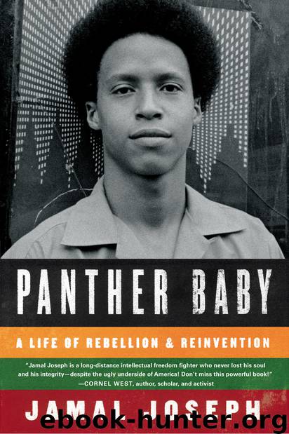 Panther Baby