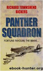 Panther Squadron by Richard Townshend Bickers