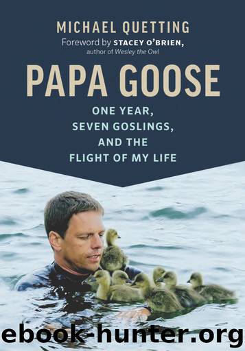 Papa Goose by Michael Quetting