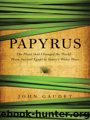 Papyrus by John Gaudet