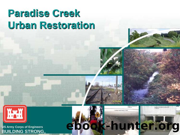Paradise Creek Urban Restoration by USACE