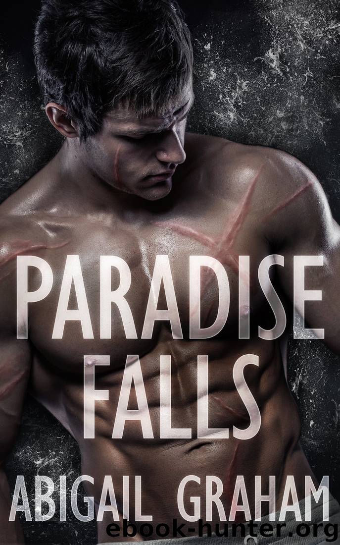 Paradise Falls (A Romantic Suspense) by Abigail Graham