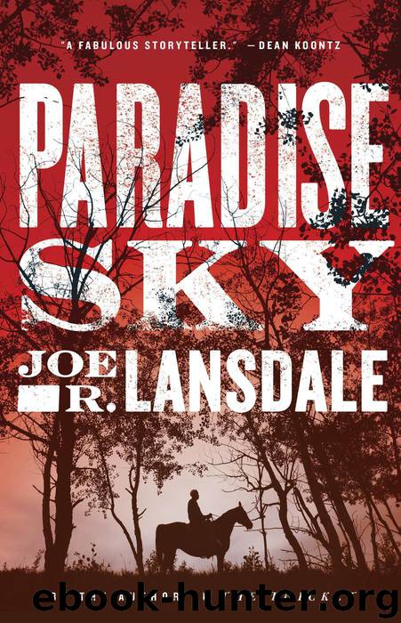 Paradise Sky by Lansdale Joe R