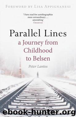 Parallel Lines by Peter Lantos