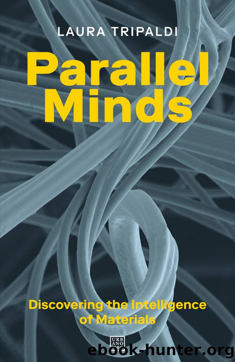Parallel Minds by Laura Tripaldi
