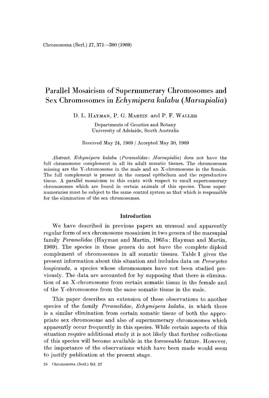 Parallel mosaicism of supernumerary chromosomes and sex chromosomes in <Emphasis Type="Italic">Echymipera kalabu (Marsupialia)<Emphasis> by Unknown
