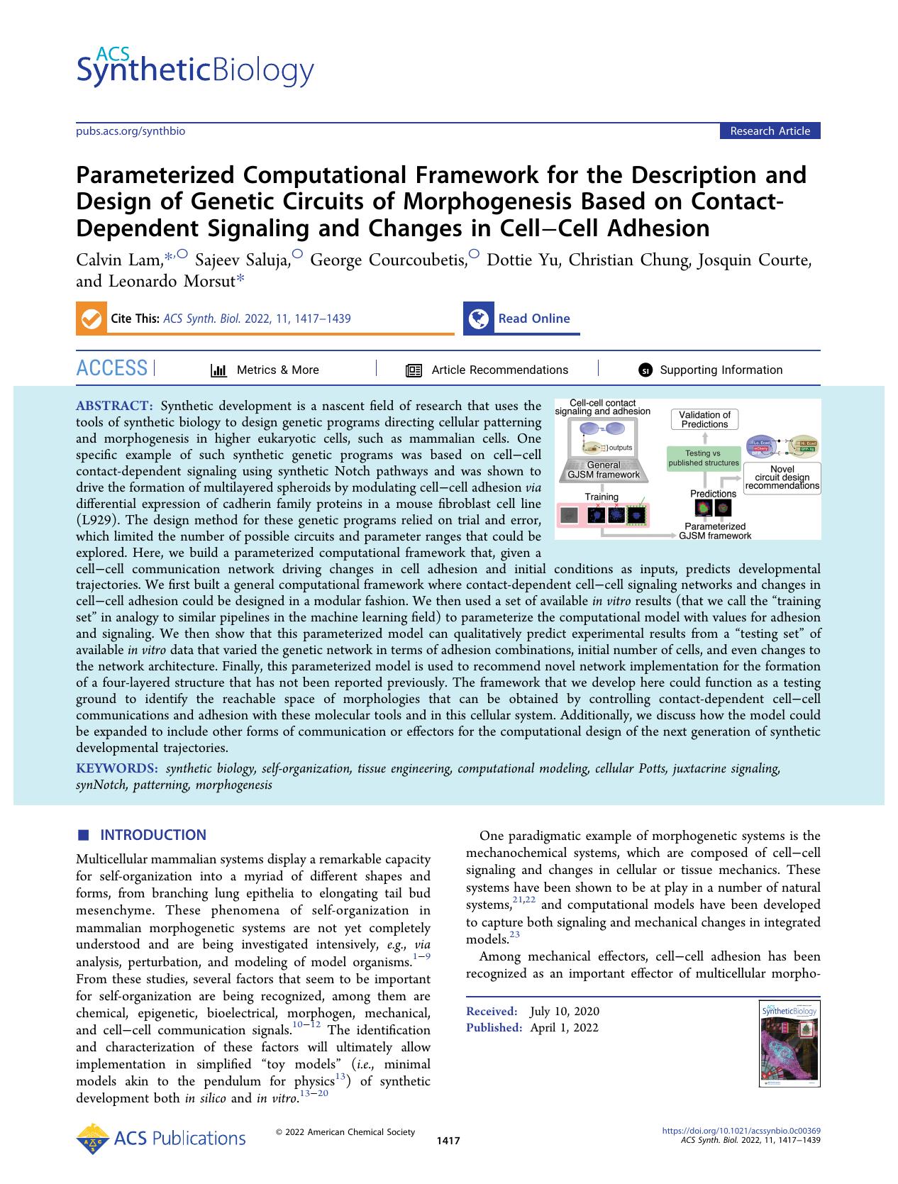 Parameterized Computational Framework for the Description and Design of Genetic Circuits of Morphogenesis Based on Contact-Dependent Signaling and Changes in CellâCell Adhesion by unknow