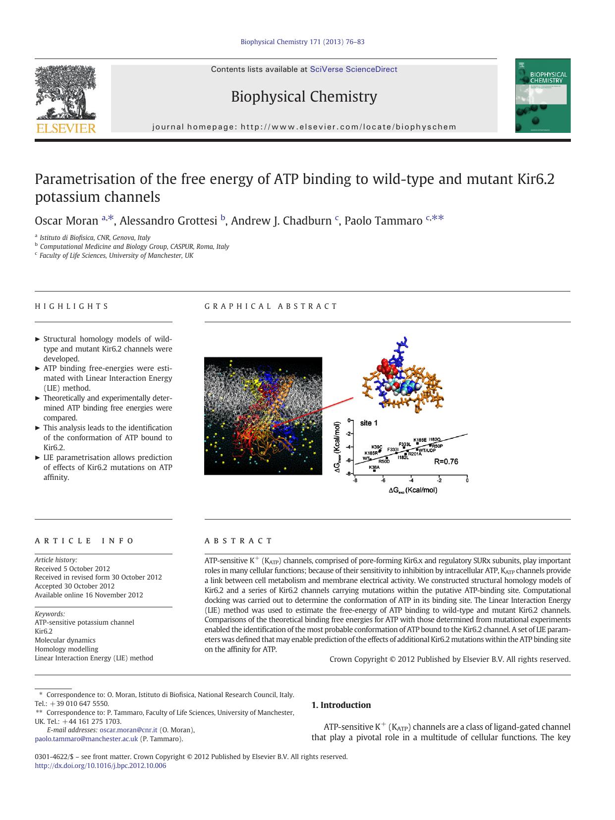 Parametrisation of the free energy of ATP binding to wild-type and mutant Kir6.2 potassium channels by Oscar Moran & Alessandro Grottesi & Andrew J. Chadburn & Paolo Tammaro