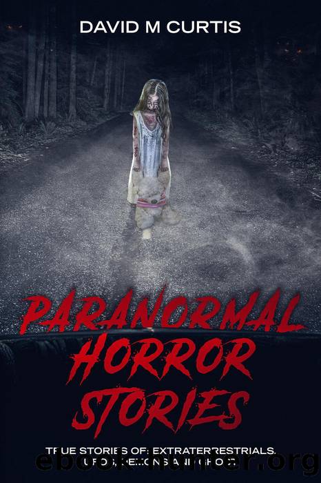 Paranormal Horror Stories by David M. Curtis