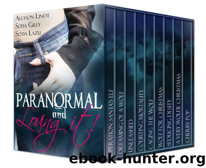 Paranormal and Loving it!: A Paranormal Romance Box Set by Lindt Allyson & Grey Sofia & Lazu Sotia