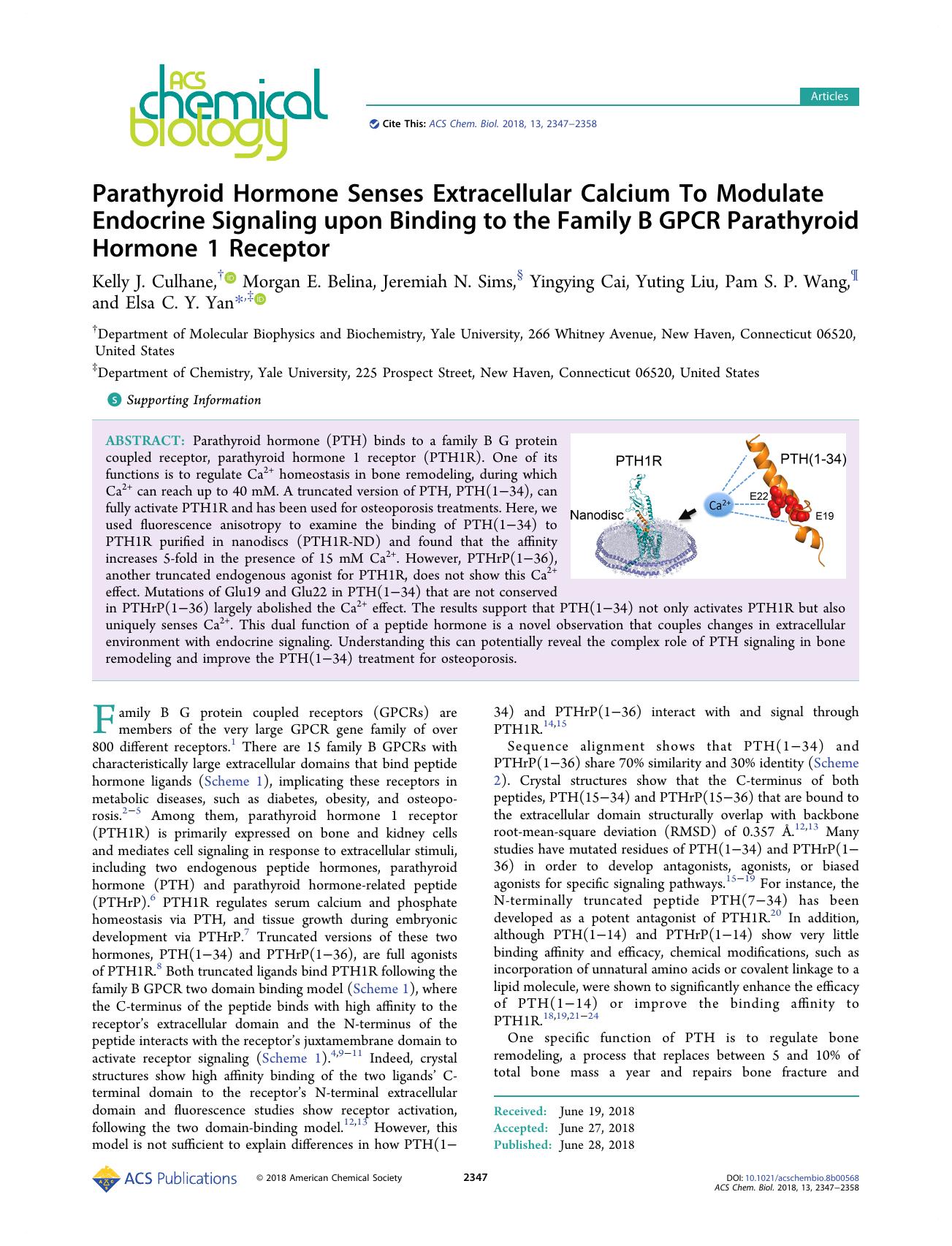 Parathyroid Hormone Senses Extracellular Calcium To Modulate Endocrine Signaling upon Binding to the Family B GPCR Parathyroid Hormone 1 Receptor by unknow