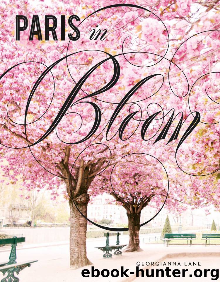 Paris in Bloom by Lane Georgianna