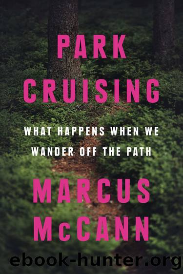Park Cruising by Marcus McCann