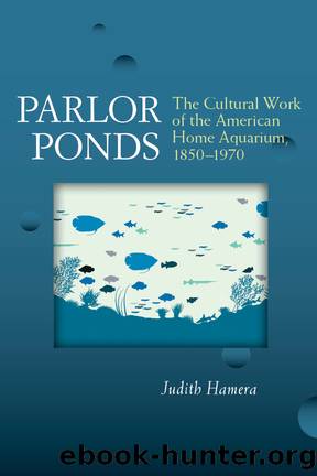 Parlor Ponds by Hamera Judith;