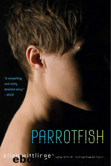 Parrotfish by Wittlinger Ellen