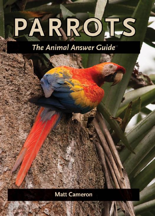 Parrots: The Animal Answer Guide by Matt Cameron