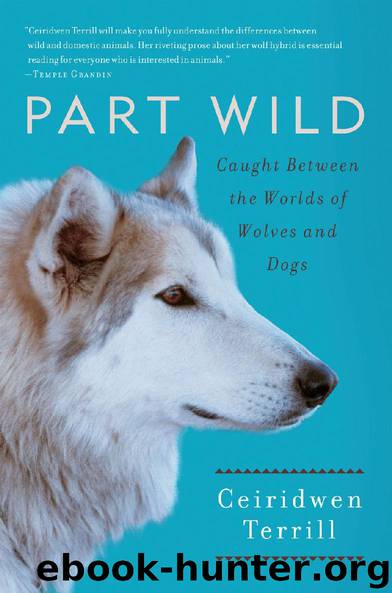 Part Wild by Ceiridwen Terrill