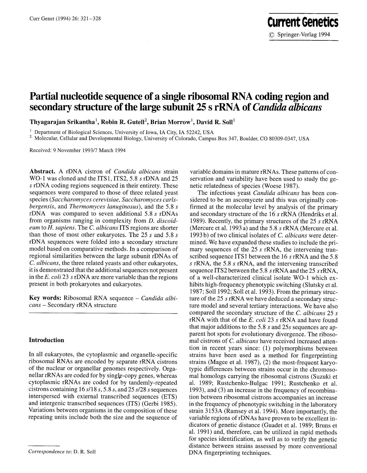 Partial nucleotide sequence of a single ribosomal RNA coding region and secondary structure of the large subunit 25 s rRNA of <Emphasis Type="Italic">Candida albicans<Emphasis> by Unknown