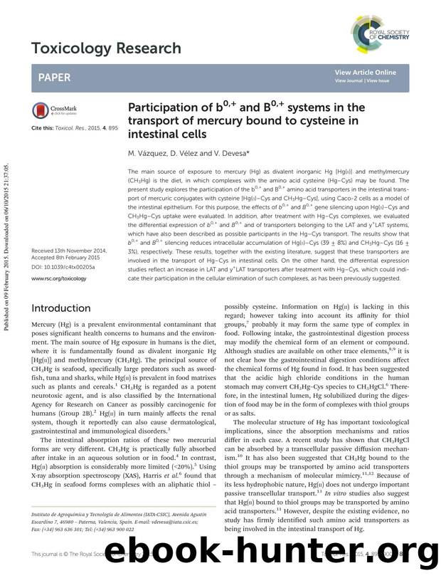 Participation of b0,+ and B0,+ systems in the transport of mercury bound to cysteine in intestinal cells by M. Vázquez D. Vélez V. Devesa