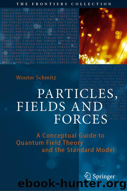 Particles, Fields and Forces by Wouter Schmitz