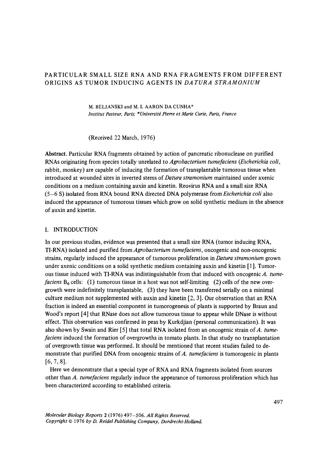 Particular small size RNA and RNA fragments from different origins as tumor inducing agents in <Emphasis Type="Italic">Datura stramonium<Emphasis> by Unknown
