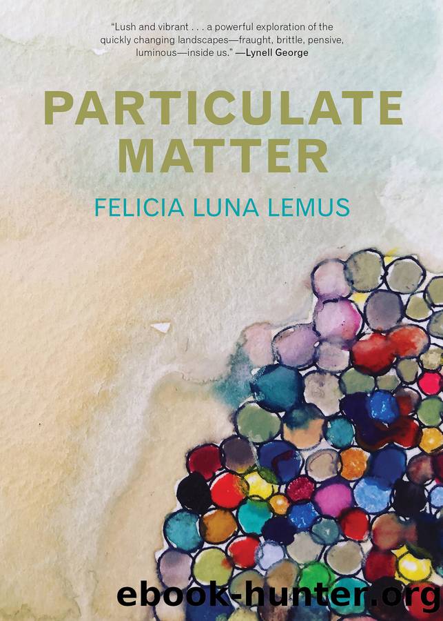 Particulate Matter by Felicia Luna Lemus