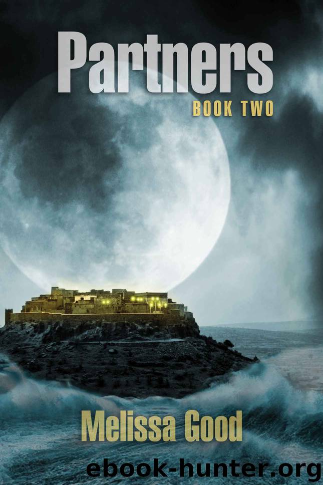 Partners: Book Two by Melissa Good