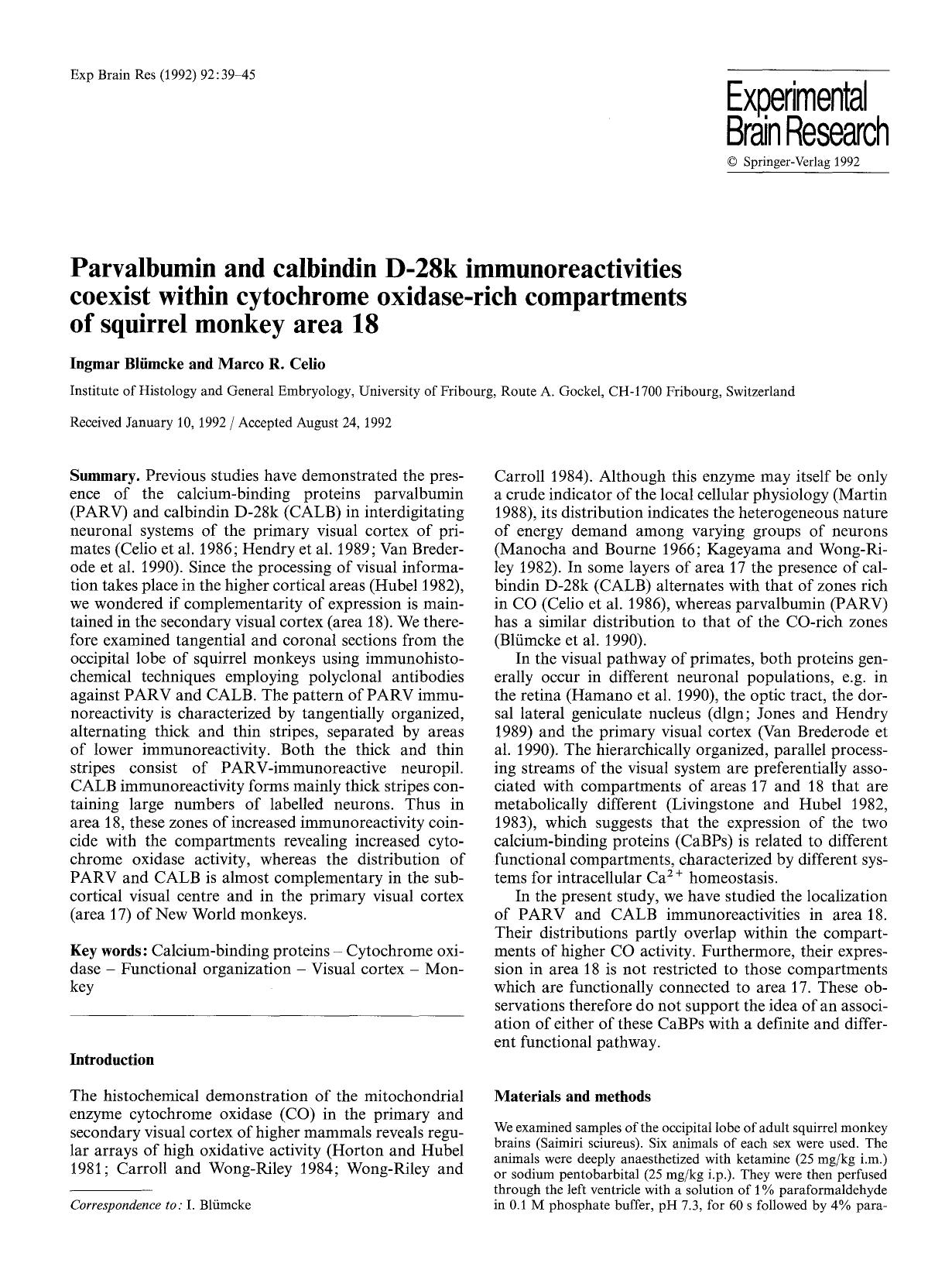 Parvalbumin and calbindin D-28k immunoreactivities coexist within cytochrome oxidase-rich compartments of squirrel monkey area 18 by Unknown
