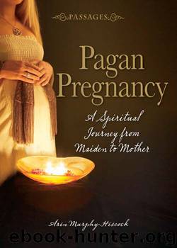 Passages Pagan Pregnancy: A Spiritual Journey from Maiden to Mother by Arin Murphy-Hiscock