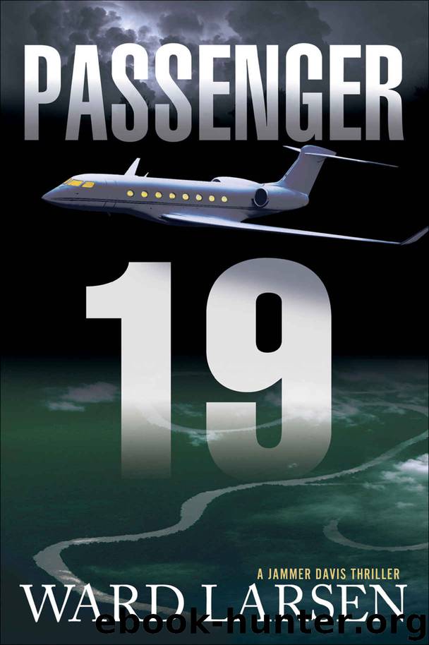 Passenger 19 by Ward Larsen