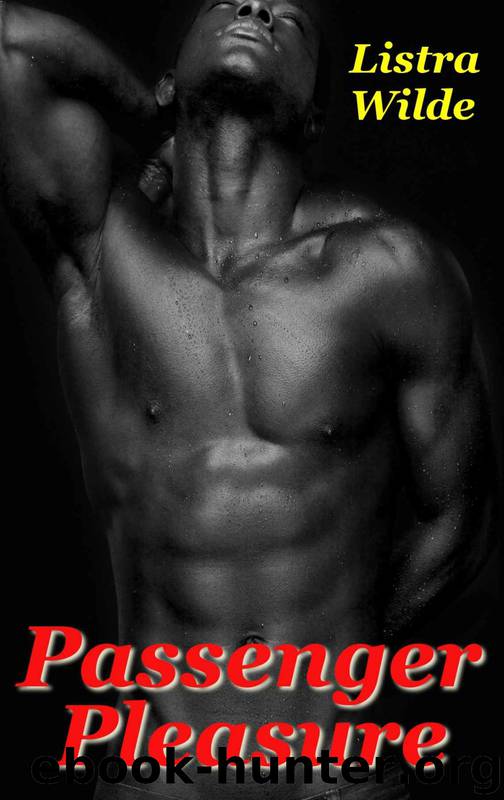 Passenger Pleasure (An Erotic Urban BWBM Taboo Romance) by Listra Wilde
