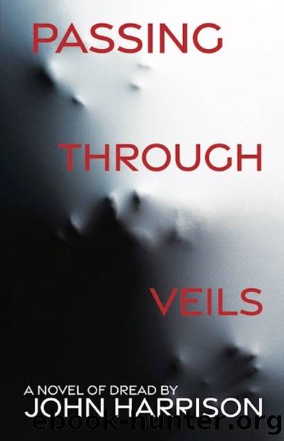 Passing Through Veils by John Harrison