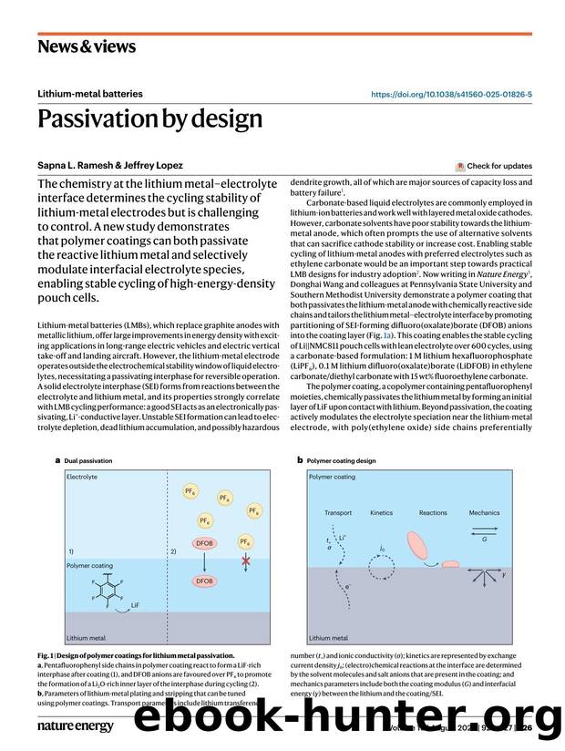 Passivation by design by Sapna L. Ramesh & Jeffrey Lopez