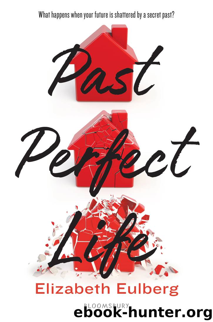 Past Perfect Life by Elizabeth Eulberg