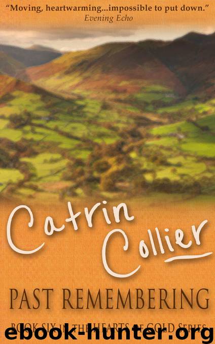 Past Remembering by Catrin Collier