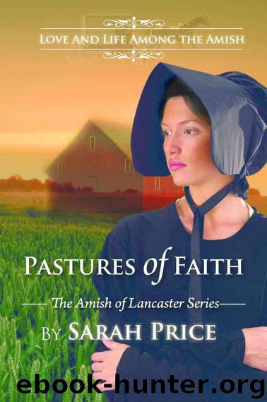 Pastures of Faith: The Amish of Lancaster by Sarah Price