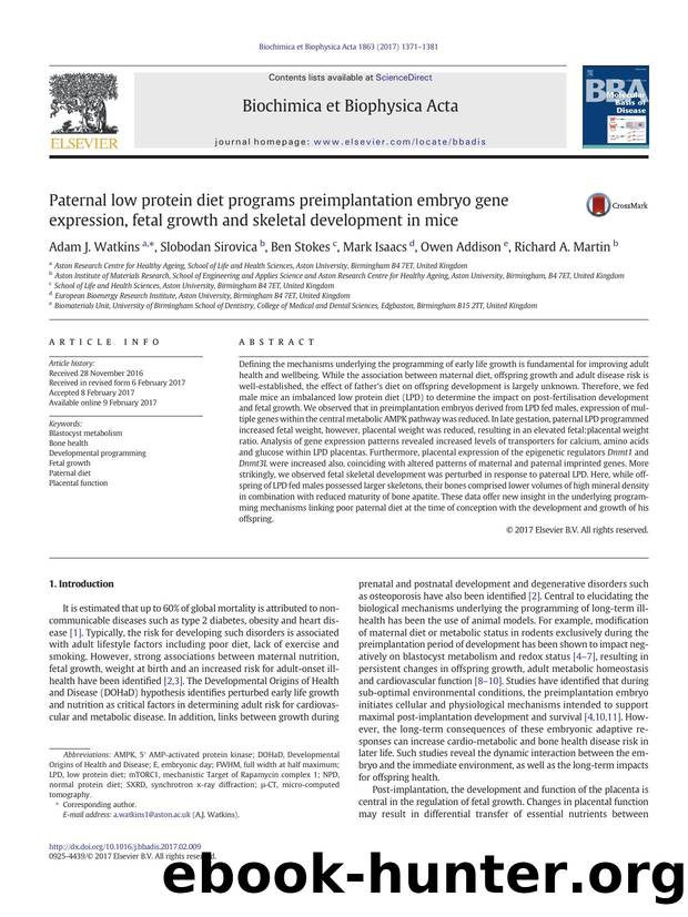 Paternal low protein diet programs preimplantation embryo gene expression, fetal growth and skeletal development in mice by Adam J. Watkins & Slobodan Sirovica & Ben Stokes & Mark Isaacs & Owen Addison & Richard A. Martin