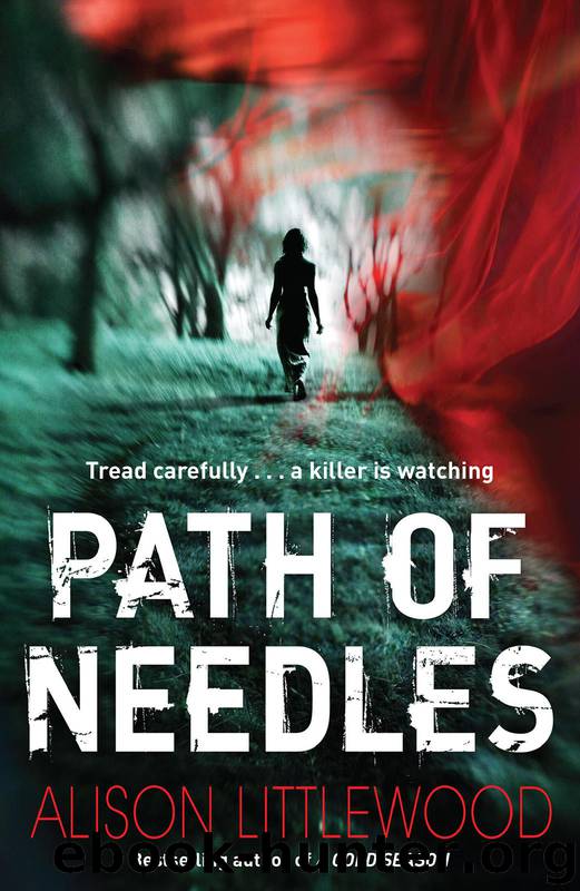 Path of Needles by Littlewood Alison