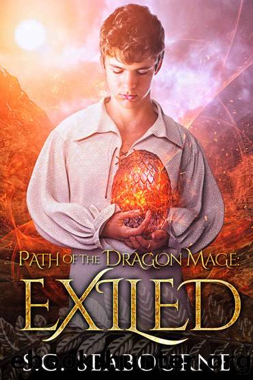 Path of The Dragon Mage: Exiled: A LitRPG Fantasy by S.G Seabourne