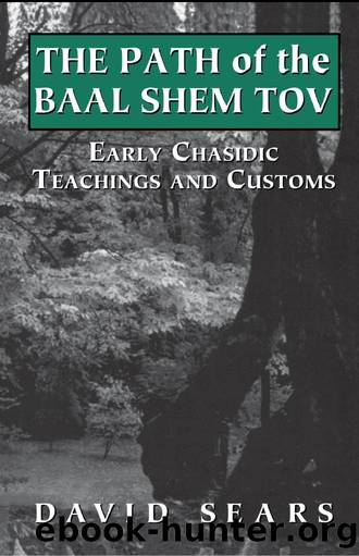 Path of the Baal Shem Tov by David Sears