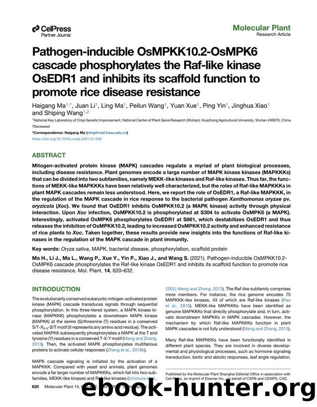 Pathogen-inducible OsMPKK10.2-OsMPK6 cascade phosphorylates the Raf-like kinase OsEDR1 and inhibits its scaffold function to promote rice disease resistance by Haigang Ma & Juan Li & Ling Ma & Peilun Wang & Yuan Xue & Ping Yin & Jinghua Xiao & Shiping Wang
