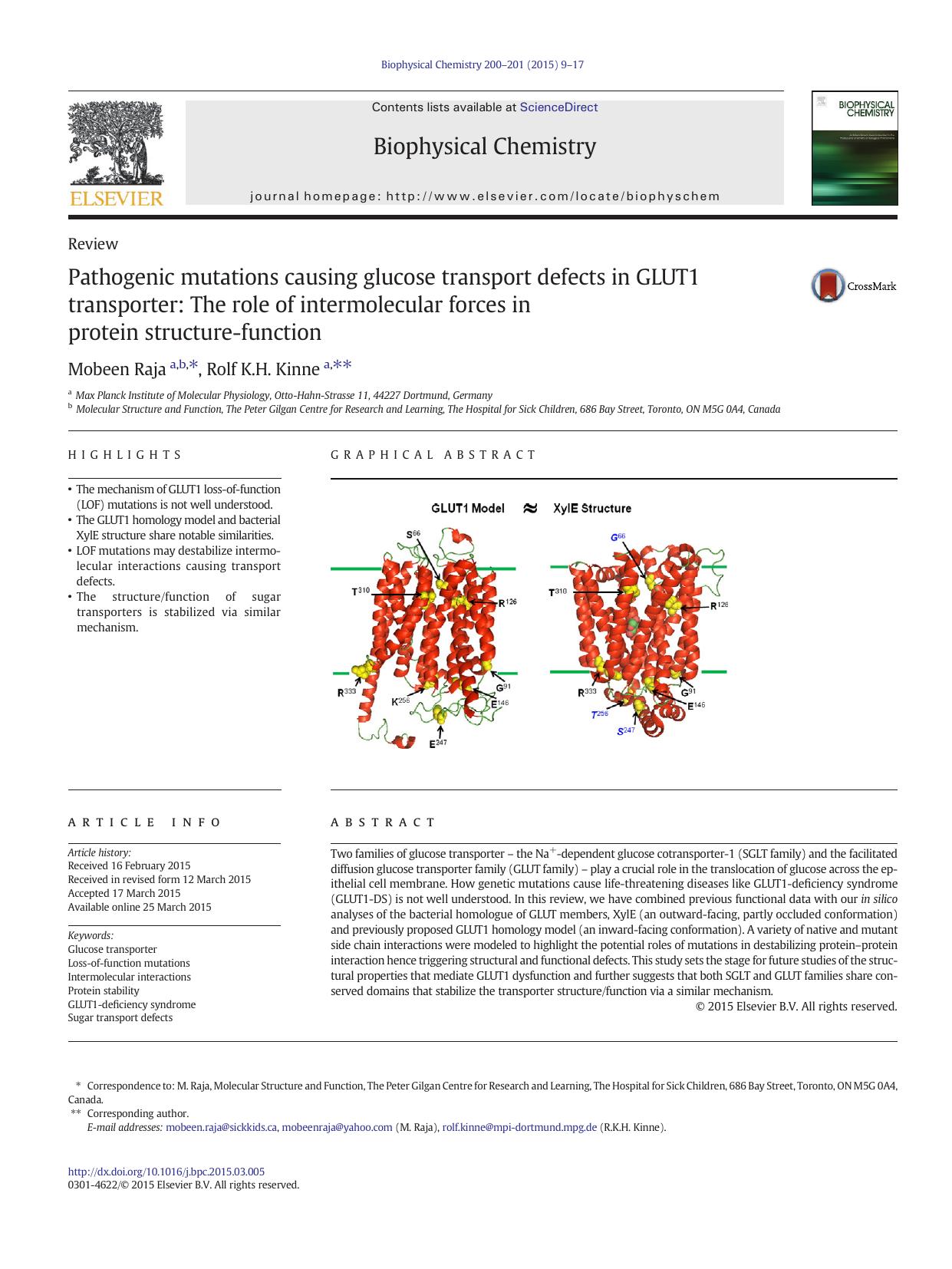 Pathogenic mutations causing glucose transport defects in GLUT1 transporter: The role of intermolecular forces in protein structure-function by Mobeen Raja & Rolf K.H. Kinne