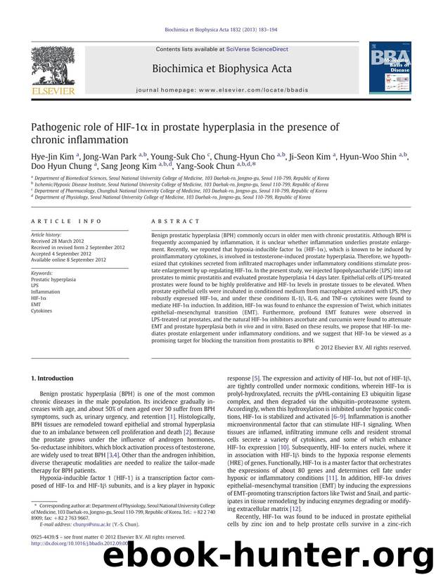Pathogenic role of HIF-1Î± in prostate hyperplasia in the presence of chronic inflammation by unknow