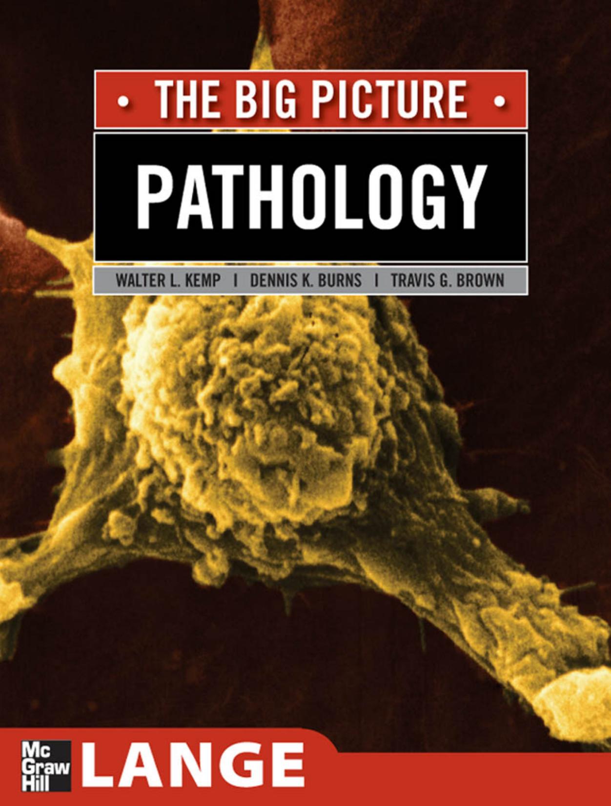 Pathology : the Big Picture by Kemp Walter L.; Burns Dennis K.; Brown Travis G